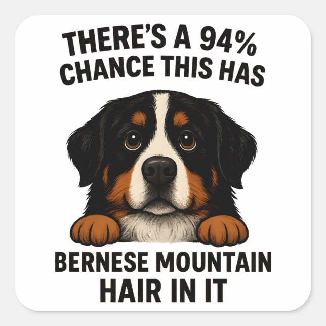 Bernese Mountain Dog Hair In Everything Funny  Square Sticker (Front)