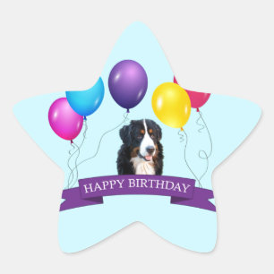 Bernese Mountain Dog Happy Birthday Star Sticker