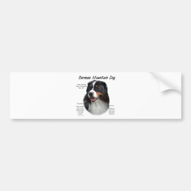 Bernese Mountain Dog History; All About Berners Bumper Sticker (Front)
