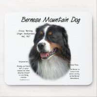 Bernese Mountain Dog History; All About Berners