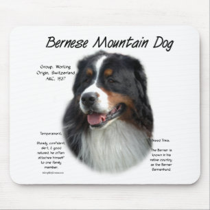 Bernese Mountain Dog History; All About Berners Mouse Pad