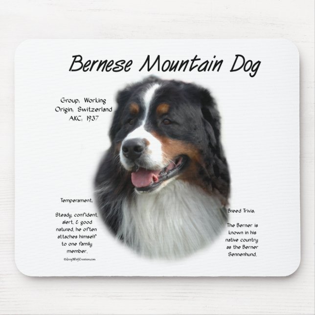 Bernese Mountain Dog History; All About Berners Mouse Pad (Front)