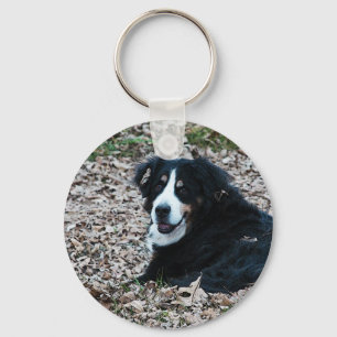 Bernese Mountain Dog in Autumn Keychain