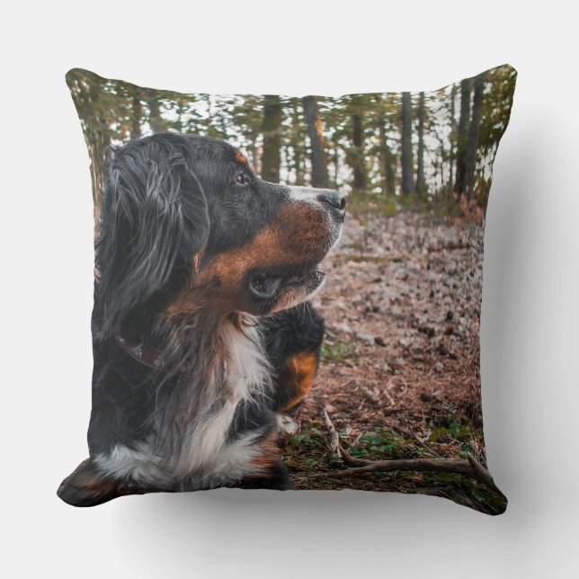 bernese mountain dog in forest throw pillow (Front)
