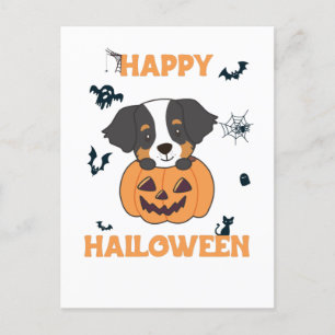 Bernese Mountain Dog In Pumpkin Dogs Happy Holiday Postcard