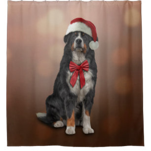 Bernese Mountain Dog in red hat of Santa Claus