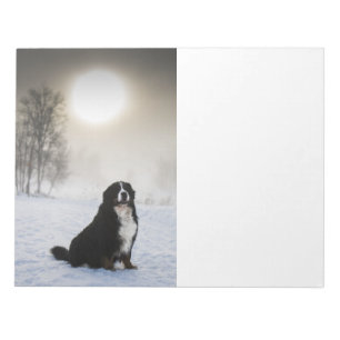 bernese mountain dog in snow notepad
