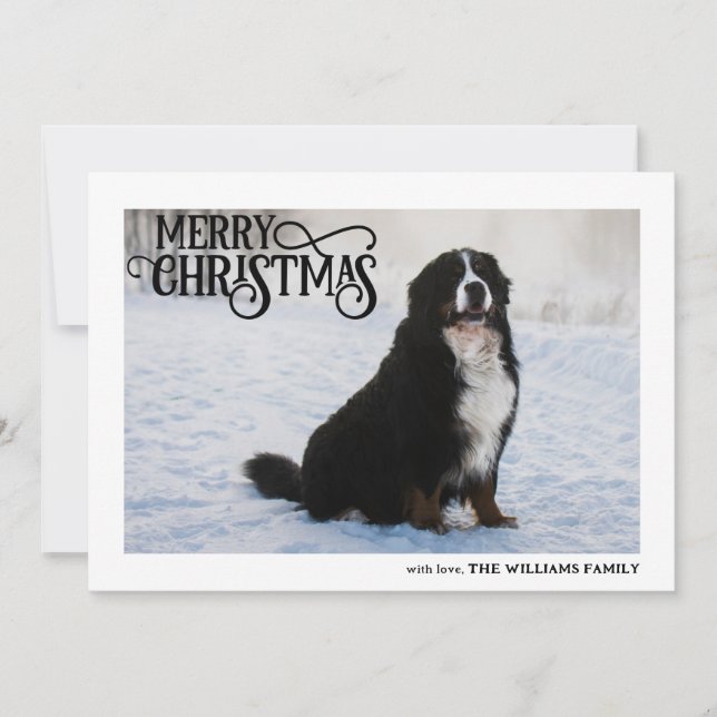 Bernese Mountain Dog In Snow Photo Merry Christmas Holiday Card (Front)