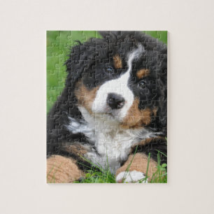 Bernese Mountain Dog Jigsaw Puzzle
