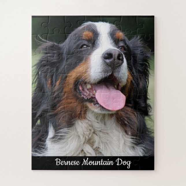 Bernese Mountain Dog Jigsaw Puzzle (Vertical)
