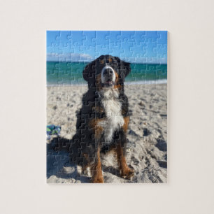 Bernese Mountain Dog  Jigsaw Puzzle