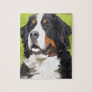 Bernese mountain dog jigsaw puzzle