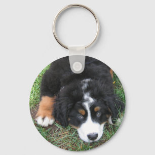 Bernese Mountain Dog Keychain