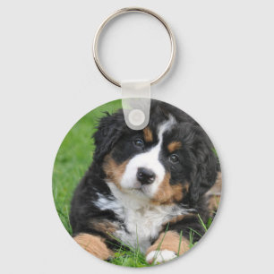 Bernese Mountain Dog Keychain