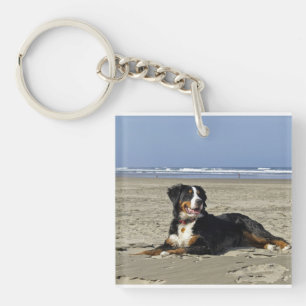 bernese-mountain-dog-layin on beach.png keychain