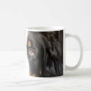 bernese mountain dog laying coffee mug