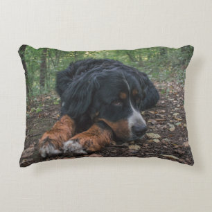 bernese mountain dog laying in forest accent pillow