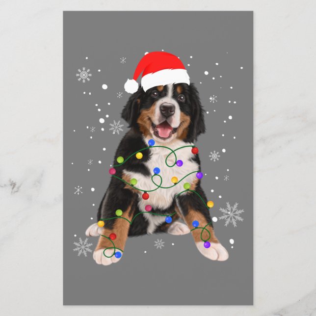 Bernese Mountain Dog Lights Christmas Matching Fam (Front)