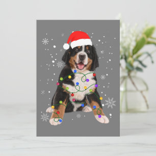 Bernese Mountain Dog Lights Christmas Matching Fam Holiday Card
