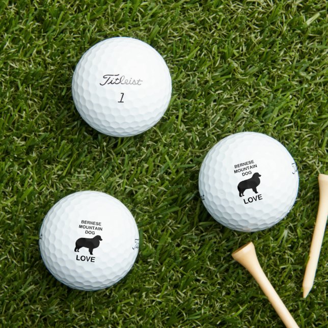 bernese mountain dog love golf balls (Insitu Grass)