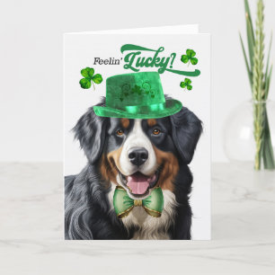 Bernese Mountain Dog Lucky St Patrick's Day Holiday Card
