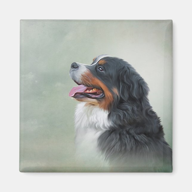 Bernese Mountain Dog Magnet (Front)