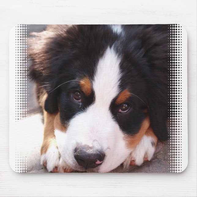 Bernese Mountain Dog Mouse Pad (Front)