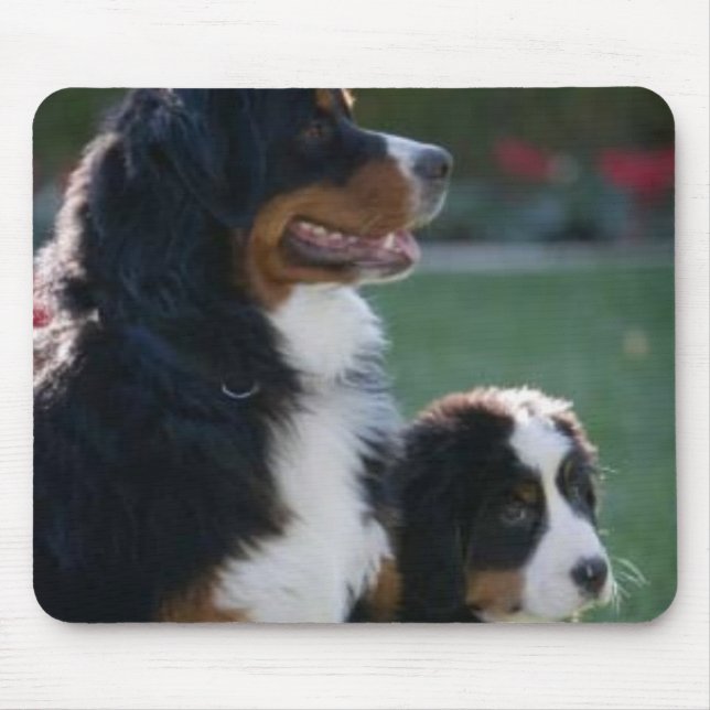 Bernese Mountain Dog Mousepad (Front)