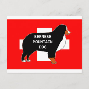 bernese mountain dog name silhouette on flag rust. postcard