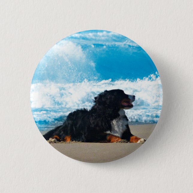 Bernese Mountain Dog on Beach 2 Inch Round Button (Front)