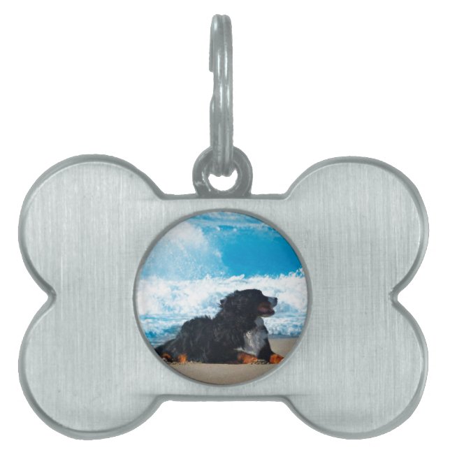 Bernese Mountain Dog on Beach Pet ID Tag (Front)