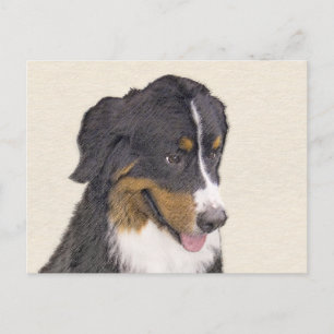 Bernese Mountain Dog Painting - Original Dog Art Postcard