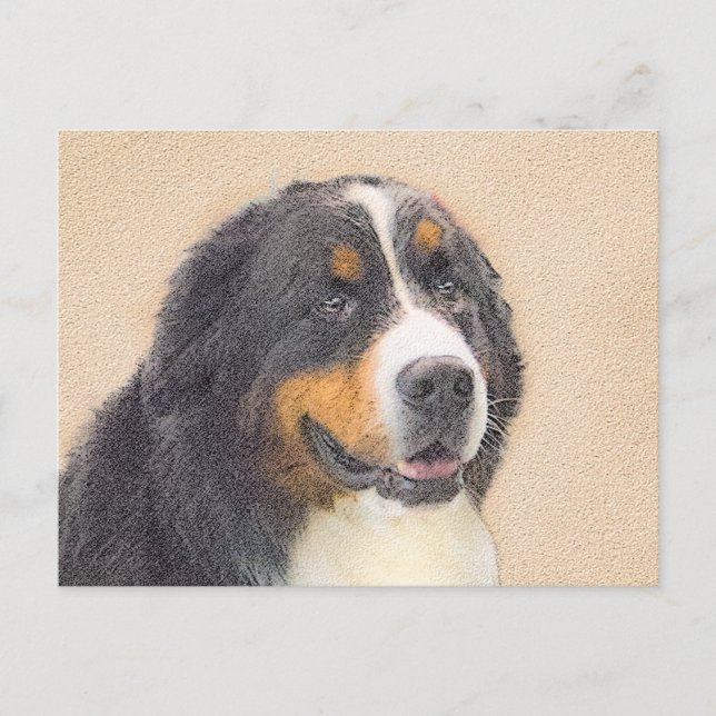 Bernese Mountain Dog Painting - Original Dog Art Postcard (Front)