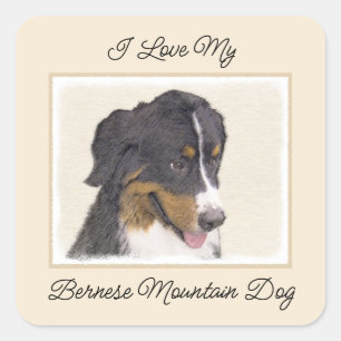 Bernese Mountain Dog Painting - Original Dog Art Square Sticker