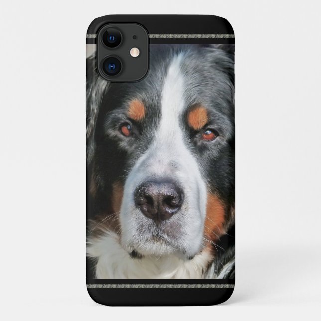 Bernese Mountain Dog Photo Image Case-Mate iPhone Case (Back)