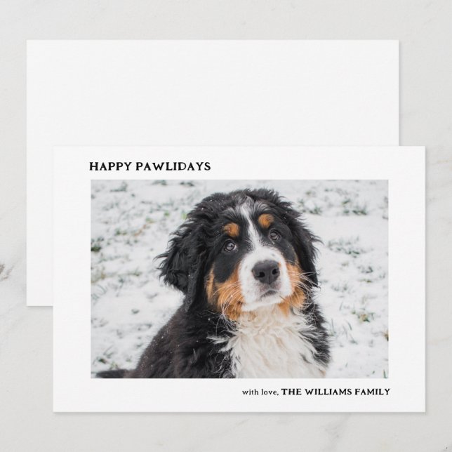 Bernese Mountain Dog Photo Minimal Christmas Holiday Card (Front/Back)