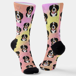 Bernese Mountain Dog  Pink Yellow Orange  Socks