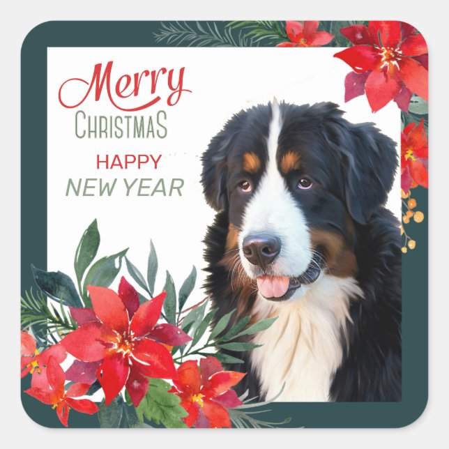 Bernese Mountain Dog Poinsettia Bouquet Christmas Square Sticker (Front)
