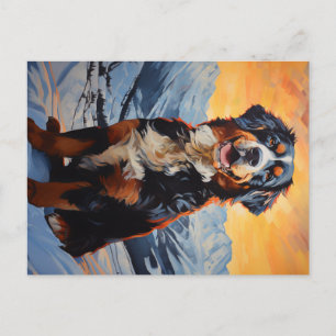 Bernese Mountain Dog Postcard