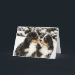 Bernese Mountain Dog Puppies Sniff Each Other Card<br><div class="desc">Snowy bernese mountain dog puppies sniff each others</div>
