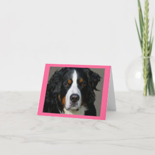 Bernese Mountain Dog Puppy Dog Note Card