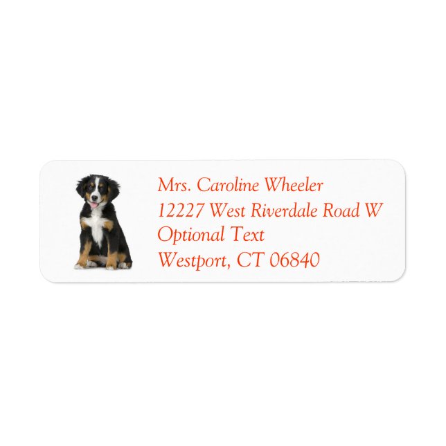 Bernese Mountain Dog Puppy Dog Return Address (Front)