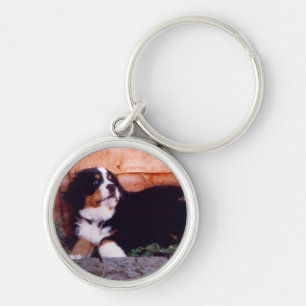 Bernese mountain dog puppy keychain