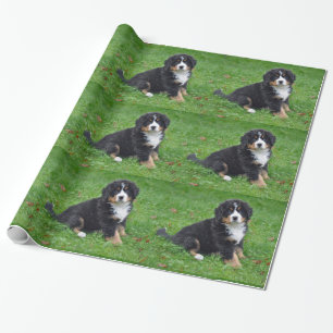 Bernese Mountain Dog Puppy Photo Wrapping Paper