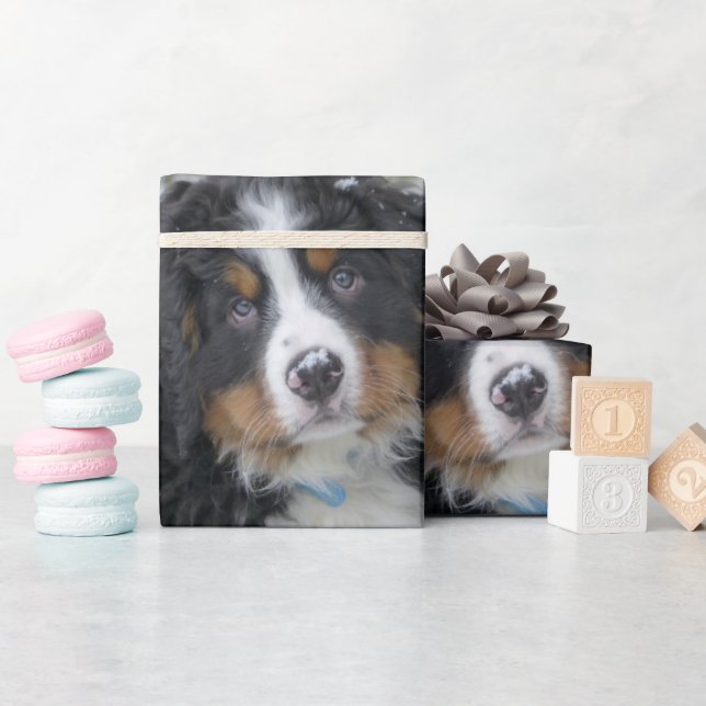 Bernese Mountain Dog Puppy Second Wrapping Paper (Baby Shower)