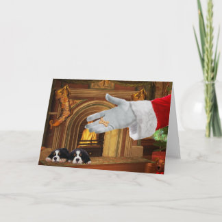 Bernese Mountain Dog Pups Christmas Holiday Card