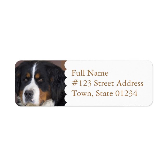 Bernese Mountain Dog Return Address Label (Front)