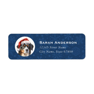 Bernese Mountain Dog Return Address Labels