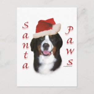Bernese Mountain Dog Santa Paws Holiday Postcard
