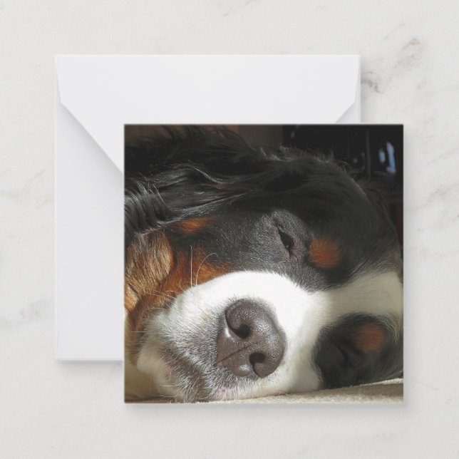 bernese mountain dog sleeping card (Front)